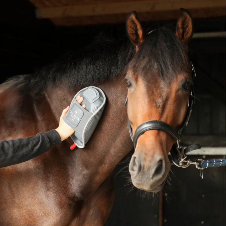 Gant De Massage Chauffant Equilibrium