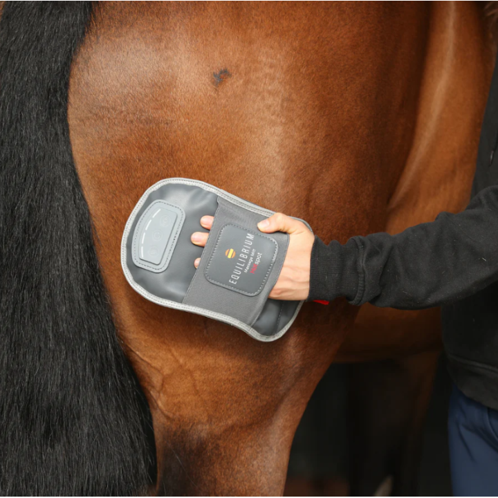 Gant De Massage Chauffant Equilibrium