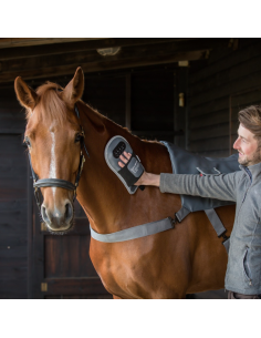 Gant De Massage Equilibrium