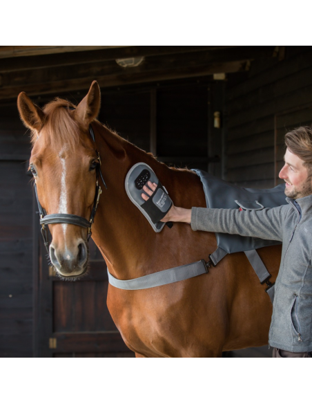 Gant De Massage Equilibrium