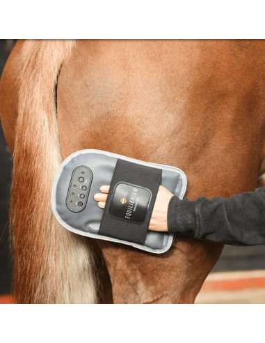 Gant De Massage Equilibrium