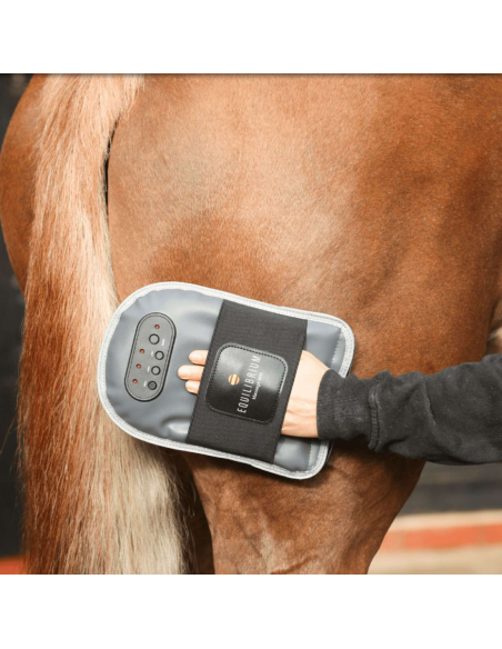 Gant De Massage Equilibrium