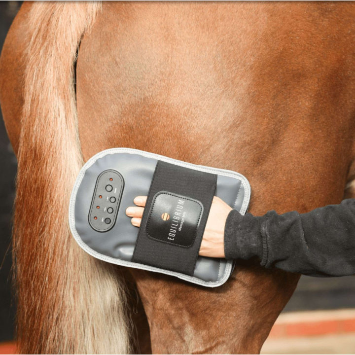 Gant De Massage Equilibrium