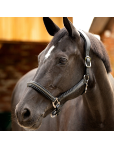 Licol en cuir Crystal - LeMieux