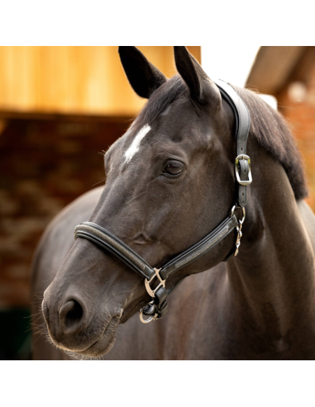 Licol en cuir Crystal - LeMieux