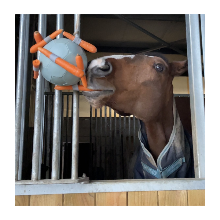 Ballon Carottes