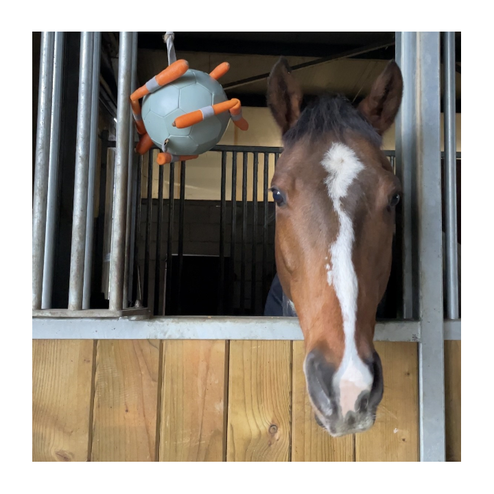 Ballon Carottes