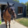 Masque En Titane Fenwick
