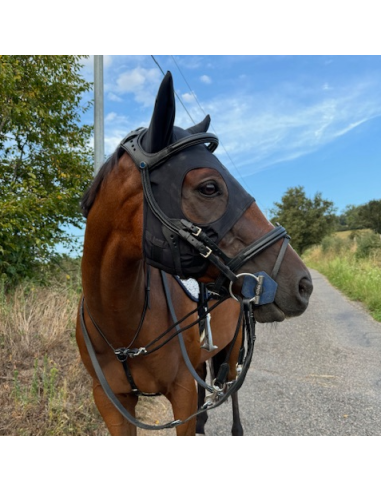 Masque En Titane Fenwick