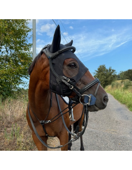 Masque En Titane Fenwick