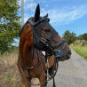 Masque En Titane Fenwick