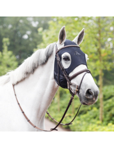 Masque En Titane Fenwick