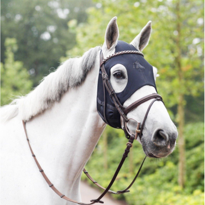 Masque En Titane Fenwick