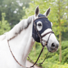 Masque En Titane Fenwick