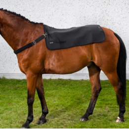 Chauffe dos Back Warmer