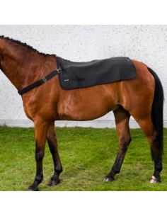 Chauffe dos Back Warmer