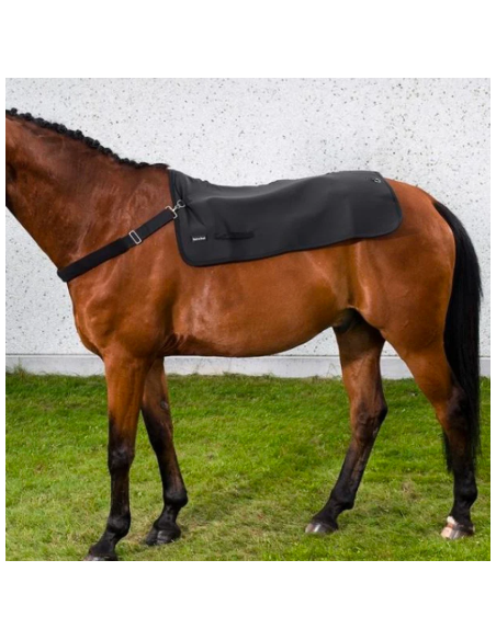 Chauffe dos Back Warmer