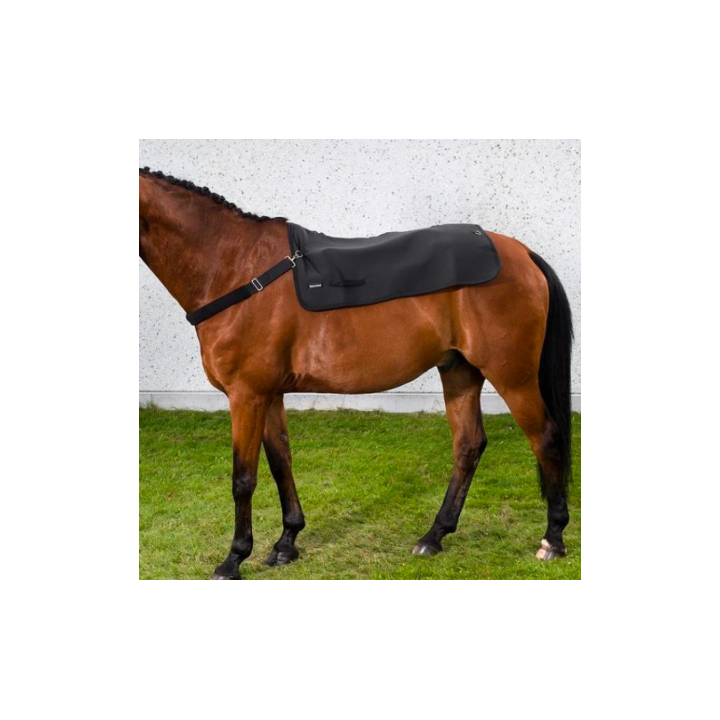 Chauffe dos Back Warmer