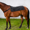 Chauffe dos Back Warmer
