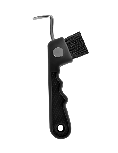 Cure Pied Aimanté