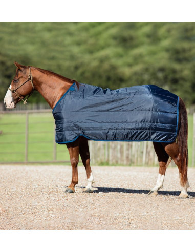 Liner (100g/200g/300g/400g) - Horseware