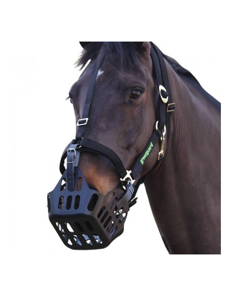 Panier Anti-Fourbure Greenguard noir pour Cheval/Poney