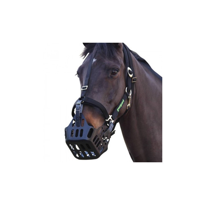 Licol Greenguard Réglable – Compatible avec Panier Anti-Fourbure pour Chevaux/Poney