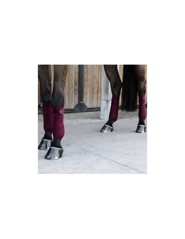 Bandes polaires Fleece Velvet - Kentucky