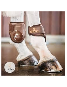 Protège boulets Young Horse Kentucky marron - Taille Full