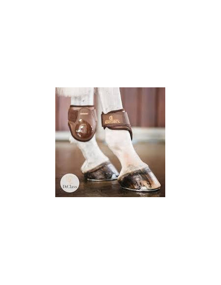 Protège boulets Young Horse Kentucky marron - Taille Full