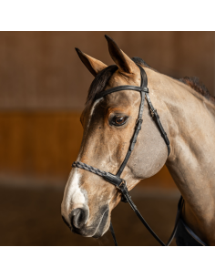 Freedom bitless bridle HFI - COB noir