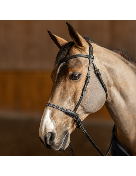 Freedom bitless bridle HFI - COB noir