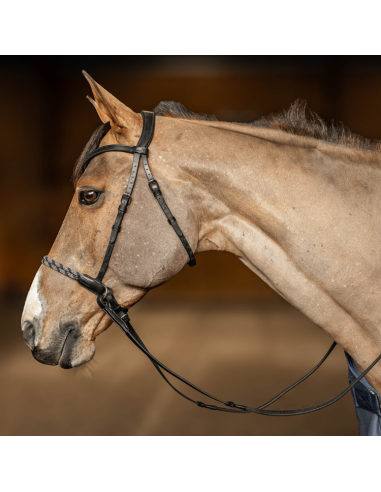 Freedom bitless bridle HFI - COB noir