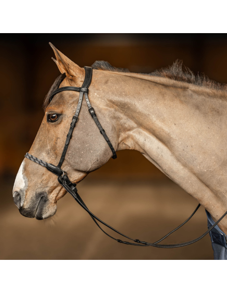Freedom bitless bridle HFI - COB noir