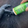 Derfen Original Lotion - Anima Derm