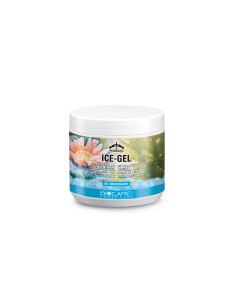 Gel rafraîchissant ICE-GEL 500ml - Veredus
