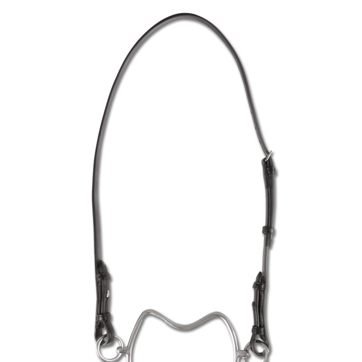 Têtière cuir pour Chifney (mors anti-cabreur)