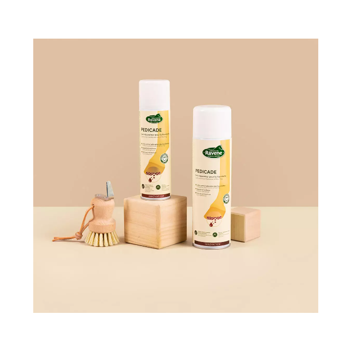 Pedicade - Ravene