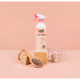 Easy Shine - Ravene
