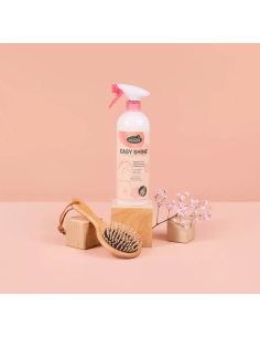 Easy Shine - Ravene