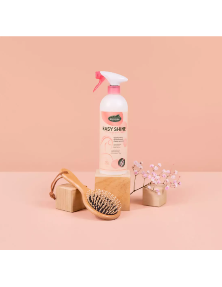 Easy Shine - Ravene