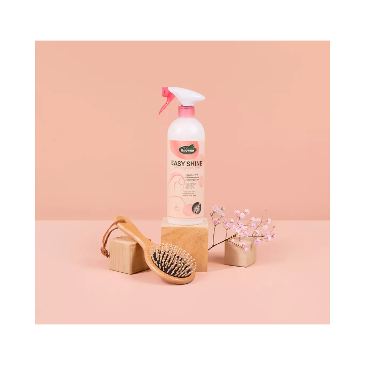 Easy Shine - Ravene