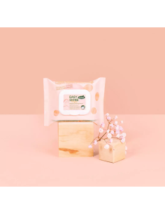 Easy Shine Wipe - Ravene