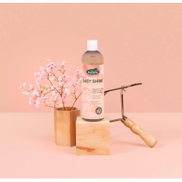 Easy Shine Shampoo - Ravene