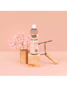 Easy Shine Shampoo - Ravene