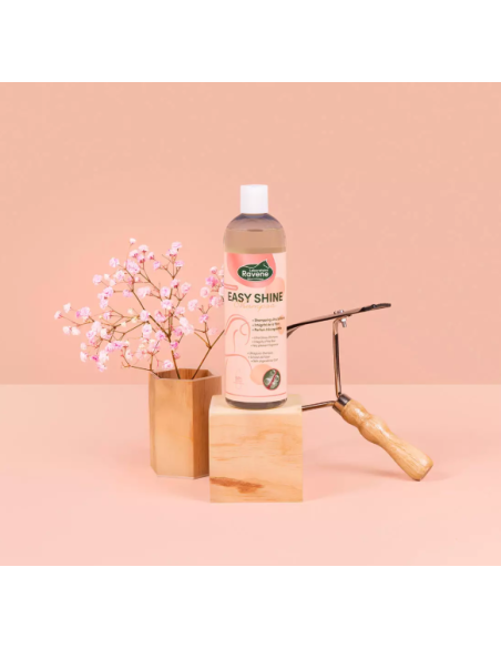 Easy Shine Shampoo - Ravene