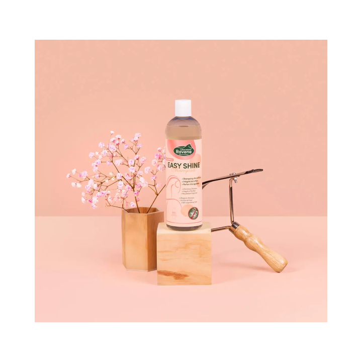 Easy Shine Shampoo - Ravene