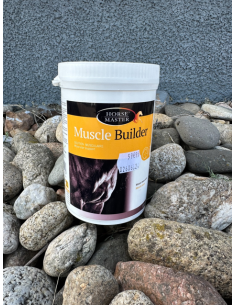 Muscle Builder - Horse Master