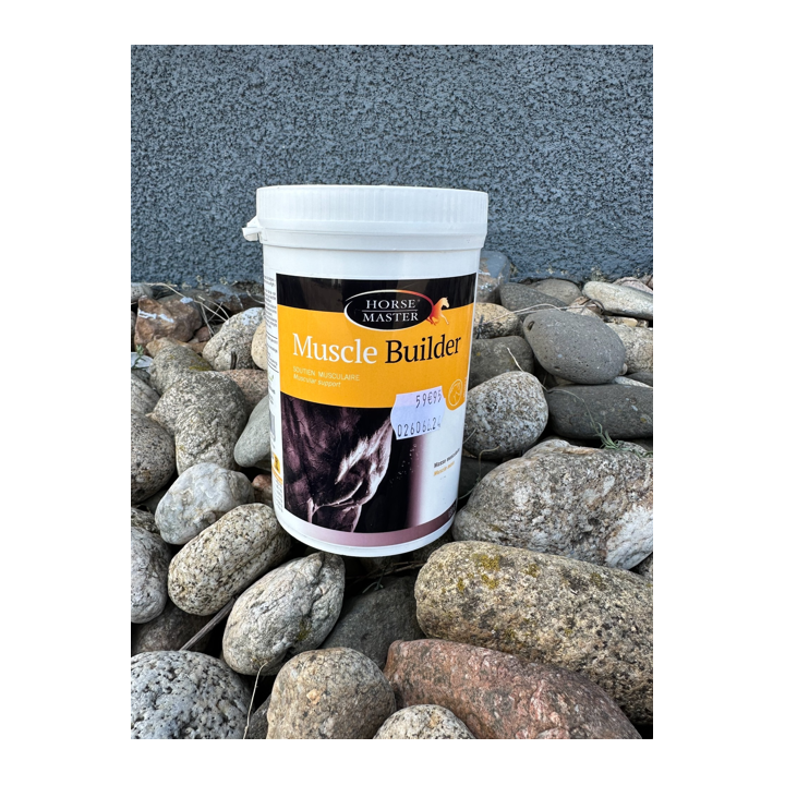 Muscle Builder - Horse Master