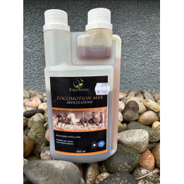 Locomotion Max - Equi-Soins